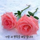 사랑이 아파요 이미지