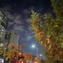 LG탕 한국면세뉴스
