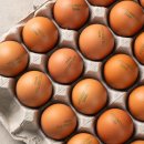 대한맥반석 | 다이어트와 맥반석 구운계란의 관계