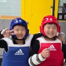 정무일도태권도 이미지