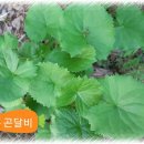 별미쌈밥 이미지