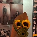 하도데이 이미지