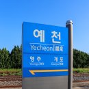 예천역 티스토리