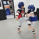 평택 글로벌 태권도장 이미지