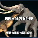 티라노