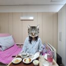자연드림분당 | [임신일기🤍] 38주의 여정 끝 | 자연분만 후기 | 분당제일여성병원 | 출산 후기