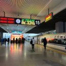 양춘만 | 상해근교여행 - 겨울 난징 일일투어 후기｜상하이에서 당일치기로 다녀온 알찬 여행코스🚆