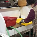 가나냉동주방 | ♨️온천여행 울진 / 덕구온천 스파월드 콘도후기 💯