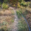 무봉농장 이미지