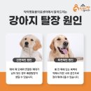 당감동물병원 이미지