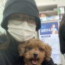 멍자네 | 천안 강아지동반카페 운동장 멍자네 방문 후기(입장료/운영시간/주차/메뉴)