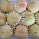 백경농장 이미지