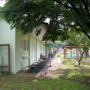 용두초등학교 이미지