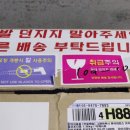 클라이네독 이미지