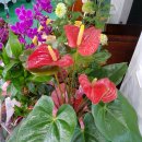 자연예술랜드 이미지