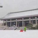 신비한공인중개사사무소 이미지