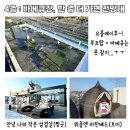 제제게스트하우스 이미지