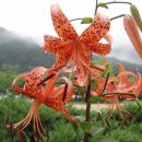 건축사사무소 산들 이미지