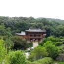 김삿갓면-30 이미지