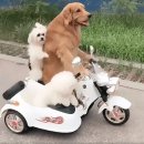 두루미카페 이미지