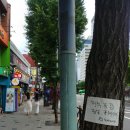 용산-서빙-1339 | 채식공감정모 : 숙대입구역 비건레스토랑 카페시바 참여후기