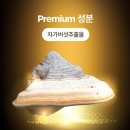 정아로마