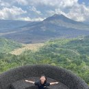 한국돈농장 | [발리 여행] 라항안 스위트 포기하고 알차게 돈 우붓 데이 투어(Ft. 트갈라랑/아카사커피/커피농장/우붓...