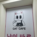 냥이싸롱 이미지