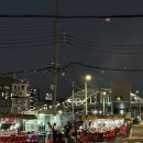 부산 영도 포장마차 골목 ‘순천집’에서 안주 5개 먹고 취한 후기