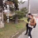 헬로 단양