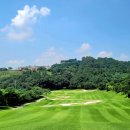 떼제베CC(대중제) 이미지