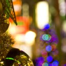 아름다운 동행 이미지