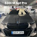 옥사이드 | 530i xDrive M Spt Pro Edition 옥사이드그레이 출고후기!