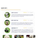 놀러오개(도화점) | 놀러오개 애견유치원 애견호텔 도화점에서의 특별한 반려견 케어 체험😊💕