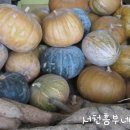 읍내건강원 - 아산시 온주길26번길 24 | 읍내건강원