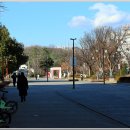 홈플러스옆길 이미지