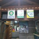 삼오 | 포항 죽도동 맛집 | 가족들과 다녀온 삼오복집 솔직후기