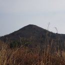 오도치
