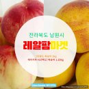 [공지] 전라북도 남원시 레알팜마켓 with 그린황도 복숭아 1kg와 에이치투 H2(백도) 복숭아 1.25kg