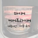마이어 | 마이어 에어프라이어 내돈내산 후기! (삼겹살 구워봤지용!)