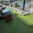 미스터와이 애견풀빌라 이미지