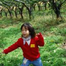 가루매마을 이미지