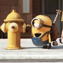 도리1천 이미지