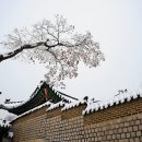 비원 - 의정부시 | 비원