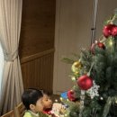 청석포레 이미지