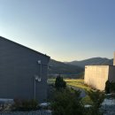 스테이 경화 이미지