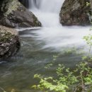 숲속의펜션 이미지