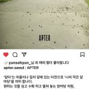 앞터 이미지