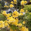 축령산휴양림입구 이미지