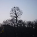 kim's home 이미지